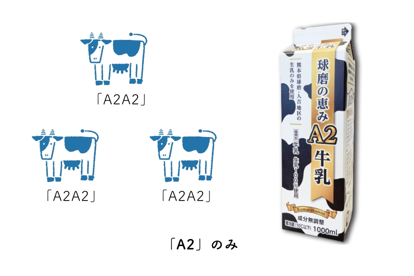 A2牛乳の遺伝子構成 - A2型β-カゼイン100%の牛乳